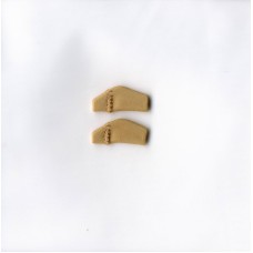 Ear Gear Micro Binaural Cordless