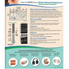 HealthScapes Brochure-Noise-Induced Hearing Loss (20 / pk)
